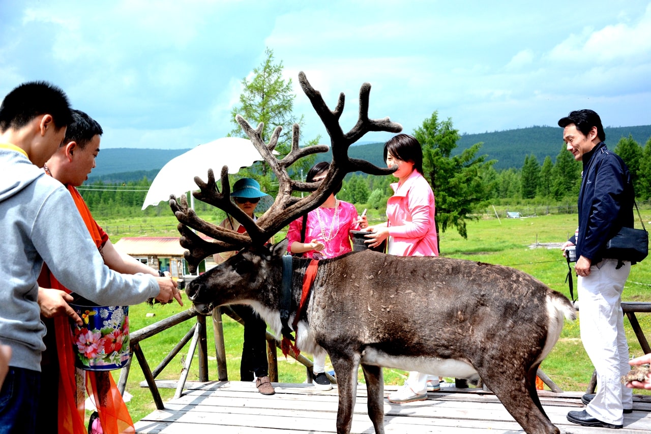 根河敖魯古雅使鹿部落