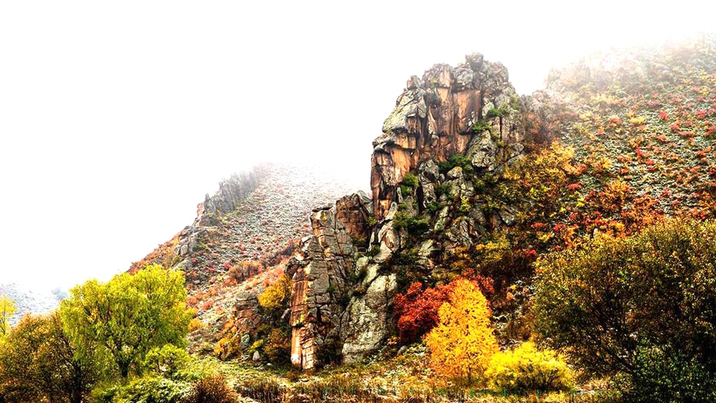 阿爾山玫瑰峰景區(qū)