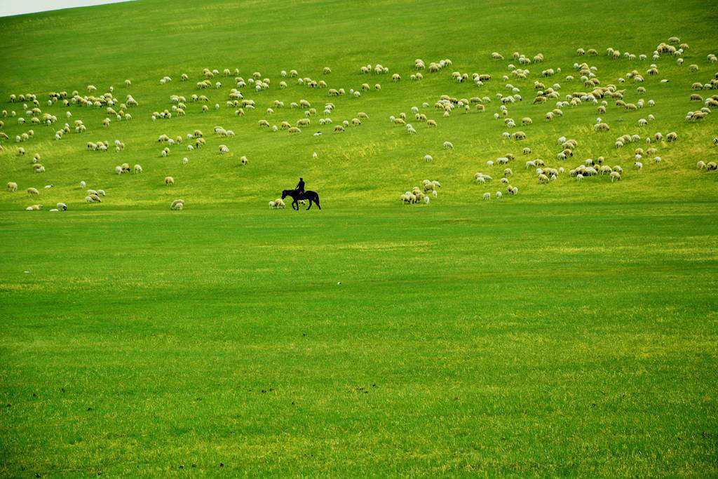 呼倫貝爾大草原必玩景點(diǎn)