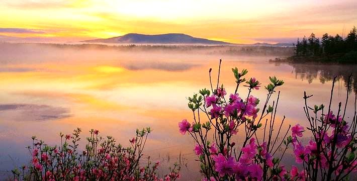 呼倫貝爾大草原+阿爾山8日游