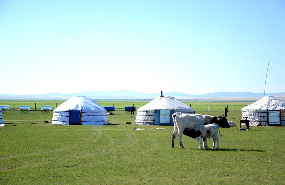 呼倫貝爾草原蒙古包