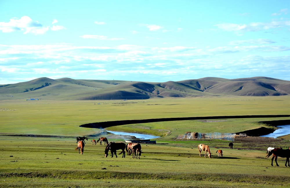 呼倫貝爾莫爾格勒草原