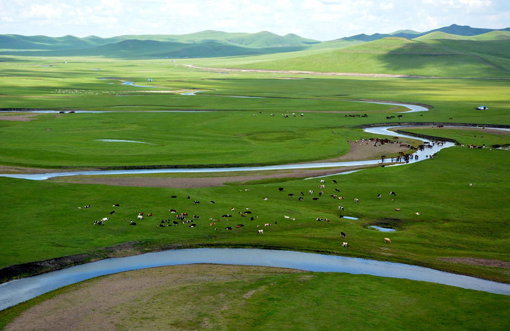 呼倫貝爾莫爾格勒河草原
