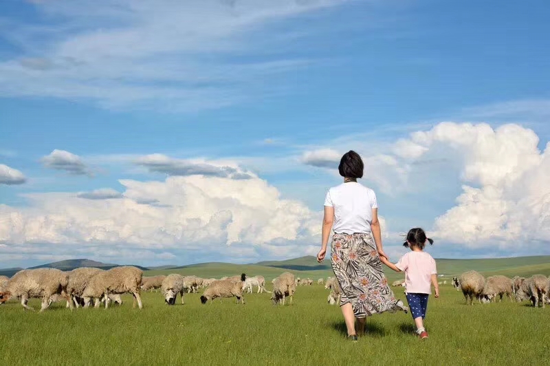 呼倫貝爾邊境卡線