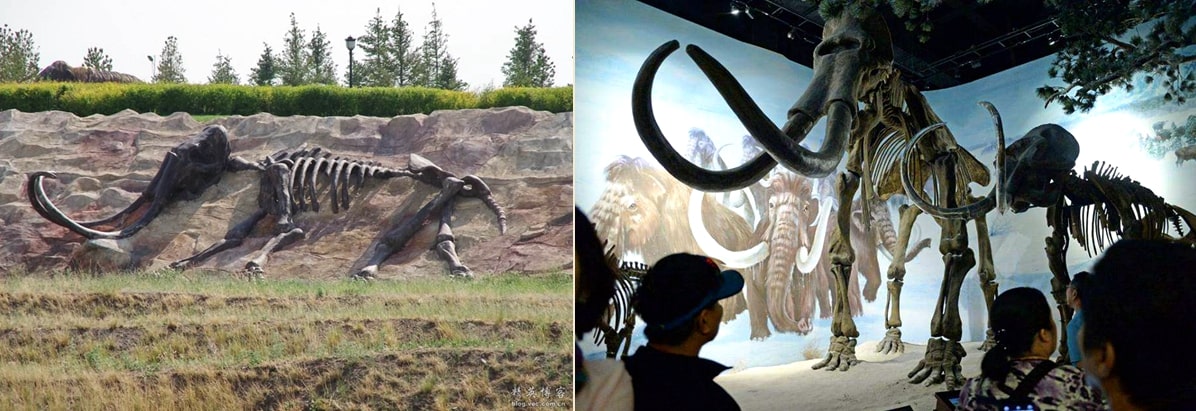 扎賚諾爾博物館