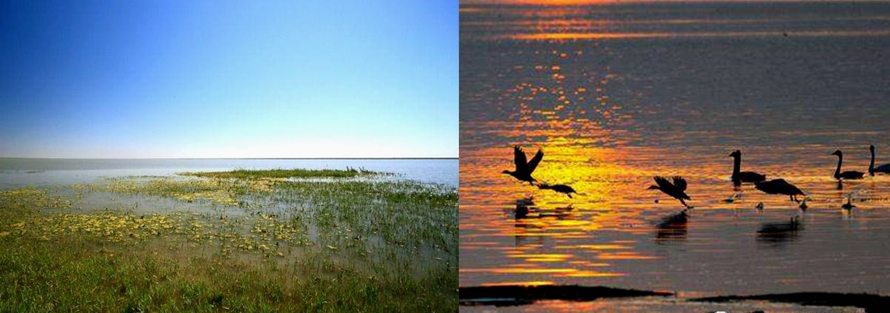 呼倫貝爾貝爾湖風(fēng)光