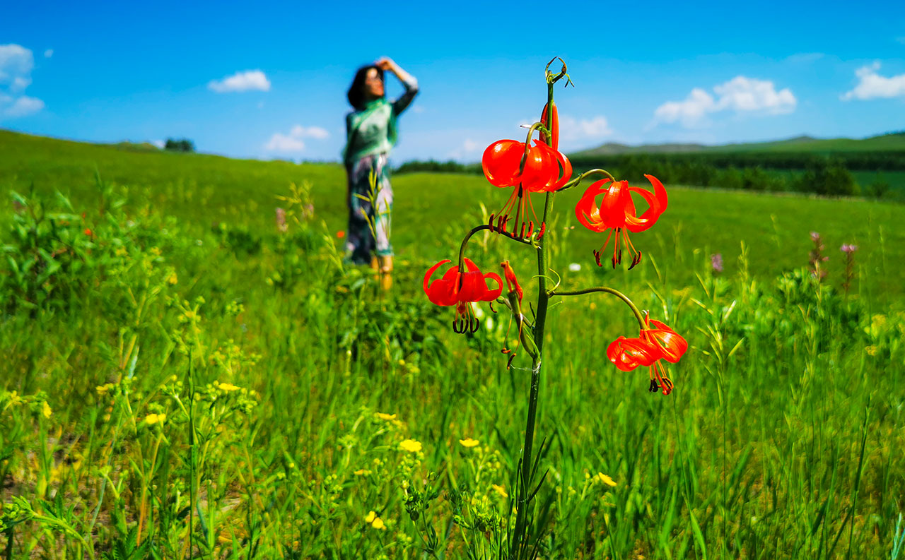 呼倫貝爾大草原4日攻略