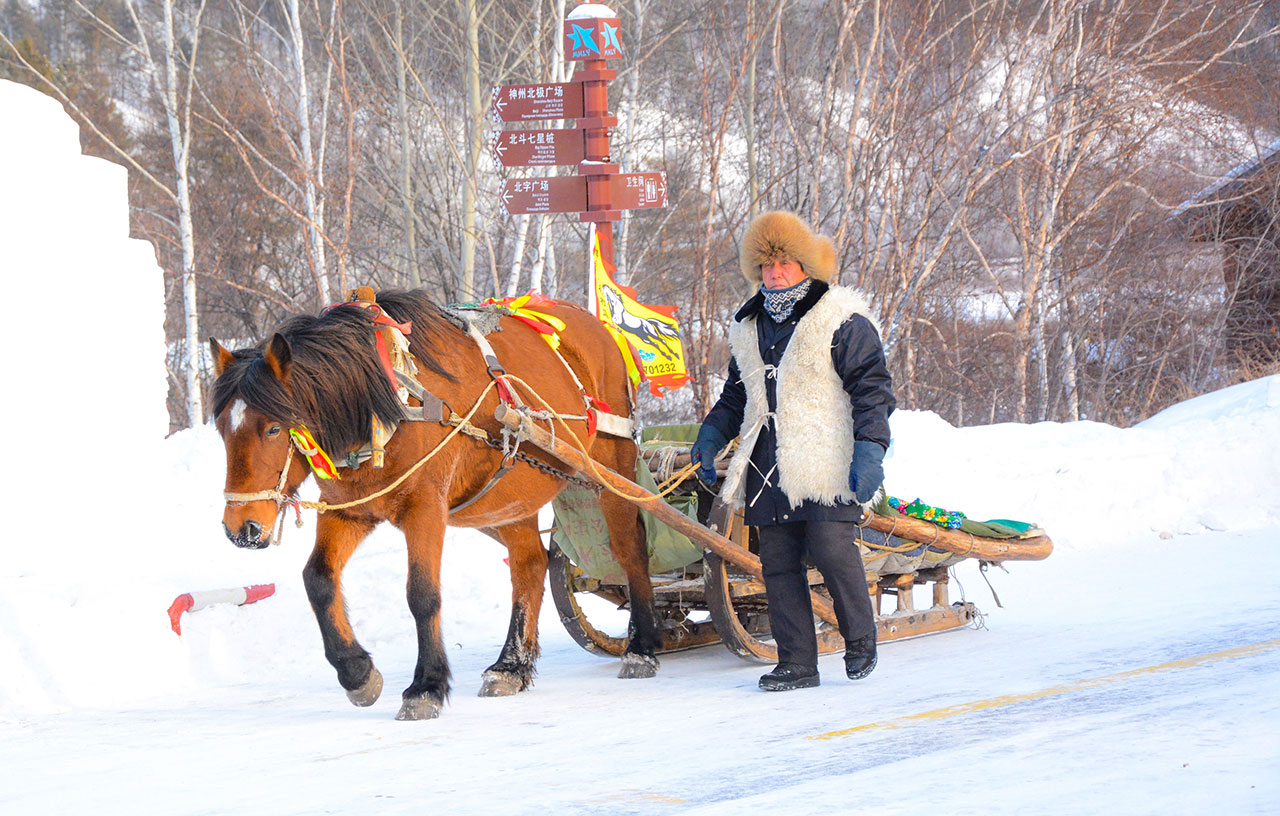 北極村馬拉爬犁