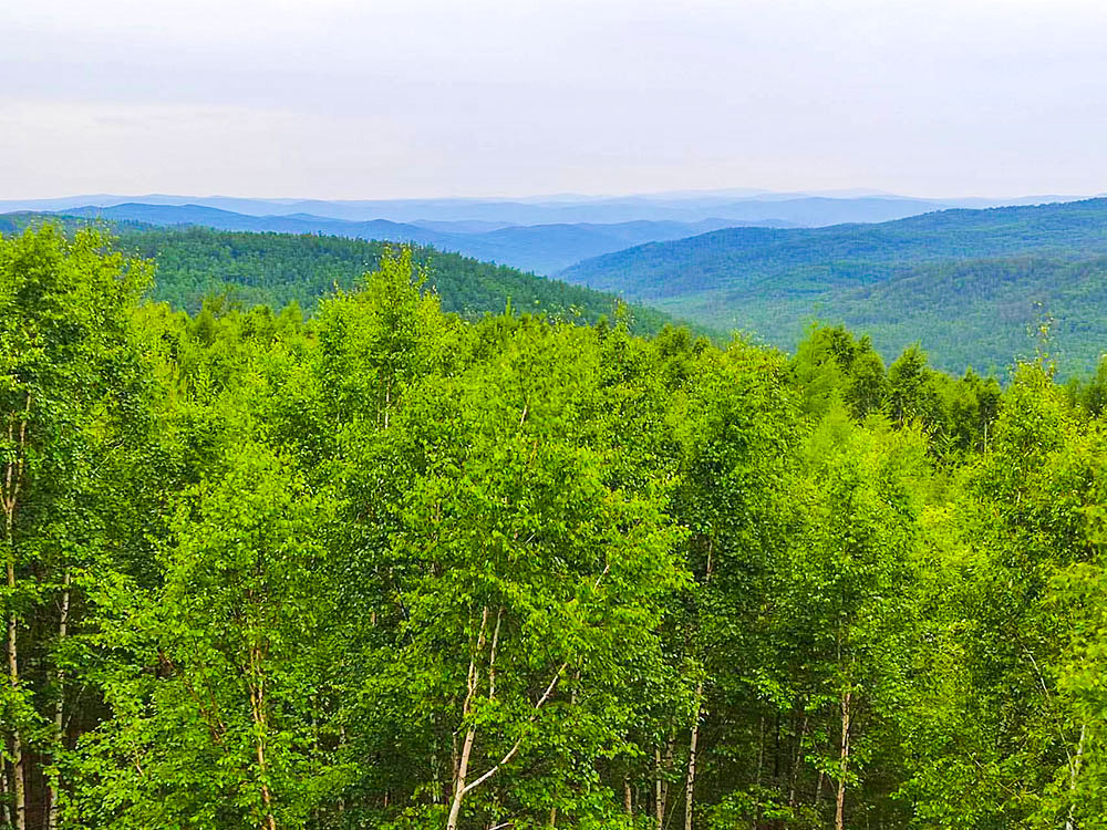 莫爾道嘎國(guó)家森林公園